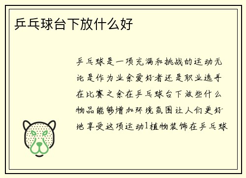 乒乓球台下放什么好