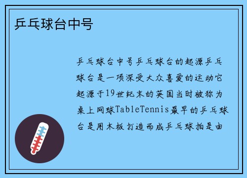 乒乓球台中号