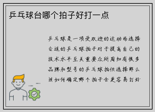 乒乓球台哪个拍子好打一点
